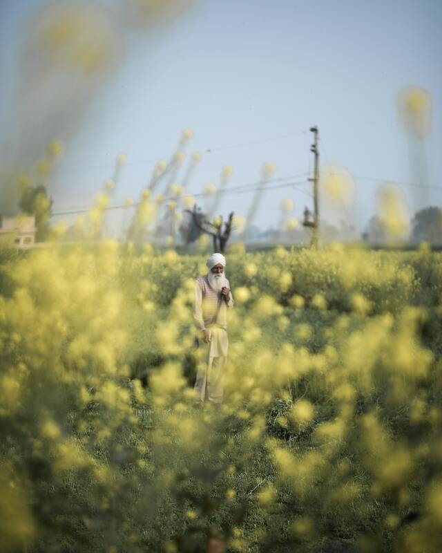A protesting farmer from Punjab stands in a field.